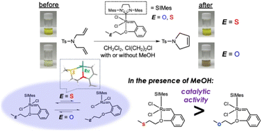 Graphical abstract: Reactivity regulation for olefin metathesis-catalyzing ruthenium complexes with sulfur atoms at the terminal of 2-alkoxybenzylidene ligands