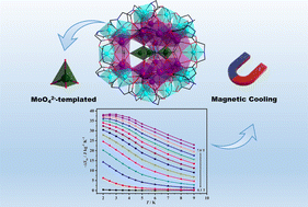 Graphical abstract: MoO42−-templated Ln20Ni21 heterometallic clusters with large low-field magnetic entropy