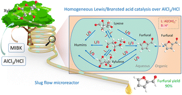 Graphical abstract: Insights into the reaction network and kinetics of xylose conversion over combined Lewis/Brønsted acid catalysts in a flow microreactor