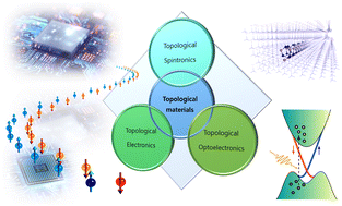 Graphical abstract: Topological quantum devices: a review