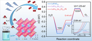 Graphical abstract: A motif for B/O-site modulation in LaFeO3 towards boosted oxygen evolution
