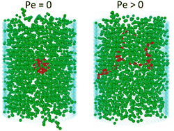 Graphical abstract: Structure and dynamics of an active polymer chain inside a nanochannel grafted with polymers