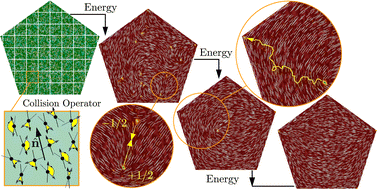 Graphical abstract: Particle-based and continuum models for confined nematics in two dimensions