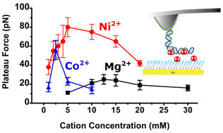 Graphical abstract: Quantitative measurement of cation-mediated adhesion of DNA to anionic surfaces