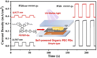 Graphical abstract: Efficient organic self-powered photoelectrochemical photodetectors based on conjugated polymers/fullerene heterojunctions