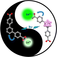 Graphical abstract: Rationalizing the carborane versus phenyl-driven luminescence in related dicarboxylic ligands and their antenna effect for their Eu3+ and Tb3+ metal–organic frameworks: a combined experimental and computational study