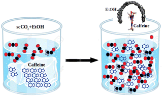 Graphical abstract: Dissolution of caffeine crystals in a supercritical CO2–ethanol mixture: exploring an eco-friendly green solvent
