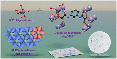 Graphical abstract: Oxamate-based potassium–organic assembly with the uncommon binodal (6,12)-coordinated alb topology