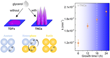 Graphical abstract: Controllable growth of vertically aligned heterophase TiO2 nanocones under glycerol assistance toward photocatalytic water purification
