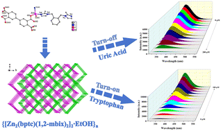 Graphical abstract: A stable two-fold interpenetrated 3D Zn(ii) MOF for fluorescence sensing of uric acid and tryptophan