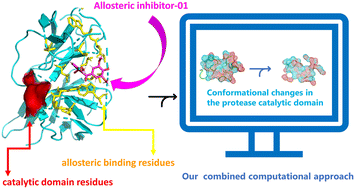 Graphical abstract: In silico validation of allosteric inhibitors targeting Zika virus NS2B–NS3 protease