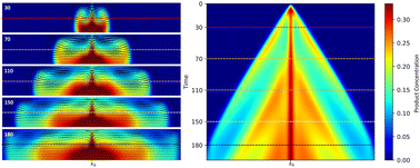 Graphical abstract: Exploring buoyancy-driven effects in chemo-hydrodynamic oscillations sustained by bimolecular reactions