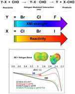 Graphical abstract: The influence of halogen-mediated interactions on halogen abstraction reactions by formyl radicals