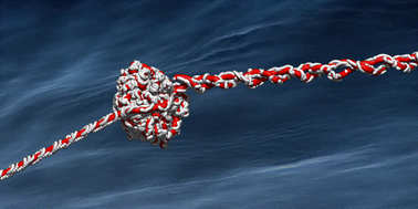 Graphical abstract: Molecular dynamics of evaporative cooling of water clusters