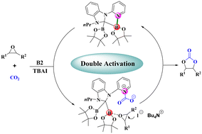 Graphical abstract: Boron–pyridine nitrogen cooperative catalytic conversion of carbon dioxide and epoxides to cyclic carbonates