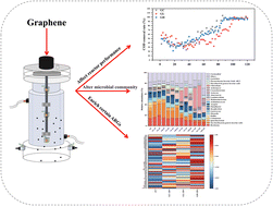 Graphical abstract: Deciphering the treatment performance, microbial community responses, and behavior of antibiotic resistance genes in anaerobic sequencing batch reactors under graphene exposure