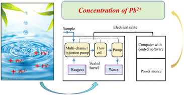 Graphical abstract: Determination of Pb2+ in natural water with a polymer electrode coupled with a flow analysis device