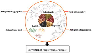Graphical abstract: A review of the role of bioactive components in legumes in the prevention and treatment of cardiovascular diseases