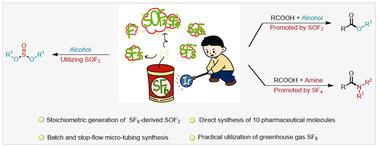 Graphical abstract: Degradation of sulfur hexafluoride and its application in the synthesis of esters and amides