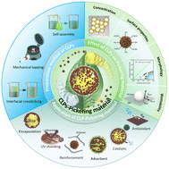 Graphical abstract: Pickering multiphase materials using plant-based colloidal lignin nanoparticles