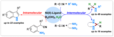 Graphical abstract: Nickel-catalyzed transfer hydrogenative cross-coupling of nitriles and amines with B2(OH)4/H2O system
