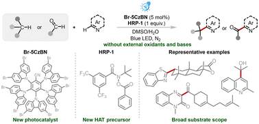 Graphical abstract: A hydrogen atom transfer-enabled photocatalytic system for direct heteroarylation of C(sp3)–H and C(sp2)–H bonds