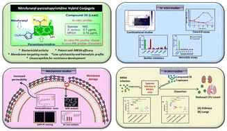 Graphical abstract: Discovery and biological evaluation of nitrofuranyl–pyrazolopyrimidine hybrid conjugates as potent antimicrobial agents targeting Staphylococcus aureus and methicillin-resistant S. aureus
