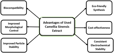 Graphical abstract: Electrochemical properties of MnMoO4 nanoparticles for energy storage applications synthesized via a green approach using Camellia sinensis extract as a reducing and stabilizing agent