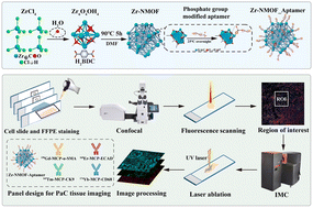 Graphical abstract: Zr-NMOF tagged with heterobifunctionalized aptamers for highly sensitive, multiplexed and rapid imaging mass cytometry