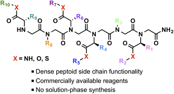 Graphical abstract: Enhancing molecular diversity of peptoid oligomers using amino acid synthons