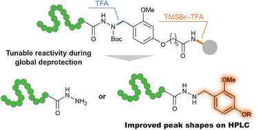 Graphical abstract: Removable dialkoxybenzyl linker for enhanced HPLC purification of peptide hydrazides