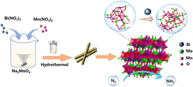 Graphical abstract: Bismuth-doped manganese molybdenum bimetallic oxide nanorods as a highly efficient nitrogen reduction catalyst