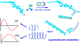 Graphical abstract: Supramolecular chiroptical sensing by achiral AIE-active thiols