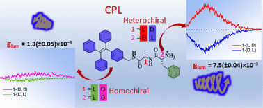 Graphical abstract: Enhanced circularly polarized luminescence attained via self-assembly of heterochiral as opposed to homochiral dipeptides in water