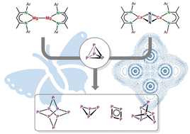Graphical abstract: Tuning the selectivity of P4 reduction at alkaline-earth metal centres