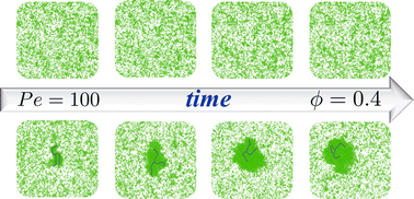 Graphical abstract: A passive star polymer in a dense active bath: insights from computer simulations