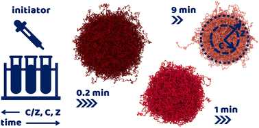 Graphical abstract: Fine-tuning the architecture of microgels by varying the initiator addition time