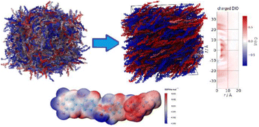 Graphical abstract: Impact of charge distribution on the stability of ferroelectric nematic liquid crystals
