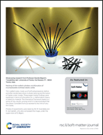 Graphical abstract: Back cover