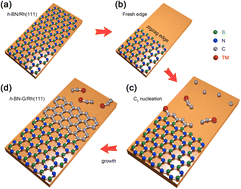 Graphical abstract: Catalytic kinetic growth of a half-metallic hexagonal boron nitride-graphene lateral heterostructure using transition metal single-atom catalysts on Rh(111)