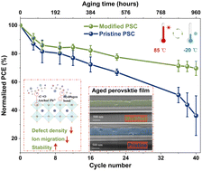 Graphical abstract: Soy protein enables stable perovskite solar cells by defect passivation and ion migration suppression