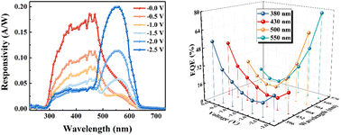 Graphical abstract: A dual-channel detection mode ZnO/organic polymer/Cu2O heterojunction dual-band photodetector