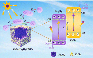 Graphical abstract: Engineering of hierarchical Z-scheme ZnSe/Fe2O3 heterojunction cubic nanocages for enhanced CO2 to CO photoconversion