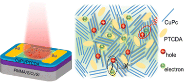 Graphical abstract: Enhanced near-infrared detection in organic phototransistors via optimized donor–acceptor single crystals