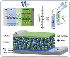 Graphical abstract: A high-performance photodetector based on a ZnO/CsPbBr3 quantum-dot-level-contact hybrid sandwich structure