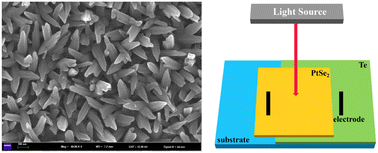 Graphical abstract: Design of a self-powered 2D Te/PtSe2 heterojunction for room-temperature NIR detection