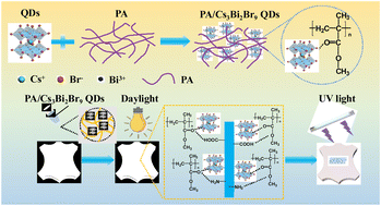 Graphical abstract: Enhancing the stability of Cs3Bi2Br9 quantum dots for anti-counterfeiting applications in leather through polyacrylate coating