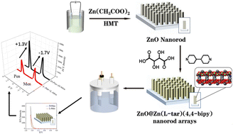 Graphical abstract: Construction of a Ru(phen)2L-Asp/ZnO@Zn(l-tar)(4,4′-bipy)/FTO-based electrochemiluminescence chiral sensor and its application for simultaneous recognition of menthol and penicillamine enantiomers