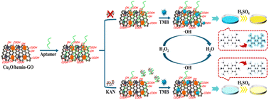 Graphical abstract: A Cu2O/hemin-GO nanozyme with aptamer-enhanced peroxidase-mimic activity for colorimetric detection of kanamycin in milk