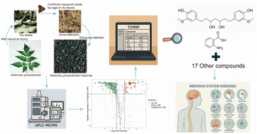 Graphical abstract: Functional component analysis of Nekemias grossedentata insect tea using widely targeted metabolomics and the TCMSP database
